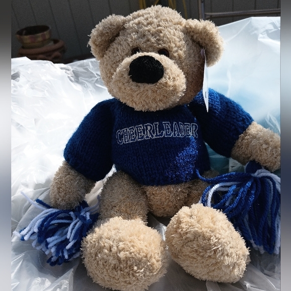 Gund Plush 13" Teddy Bear with Blue Sweater "Cheerleader" 41896 - Picture 7 of 12